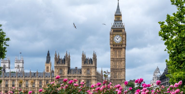 Universities in London